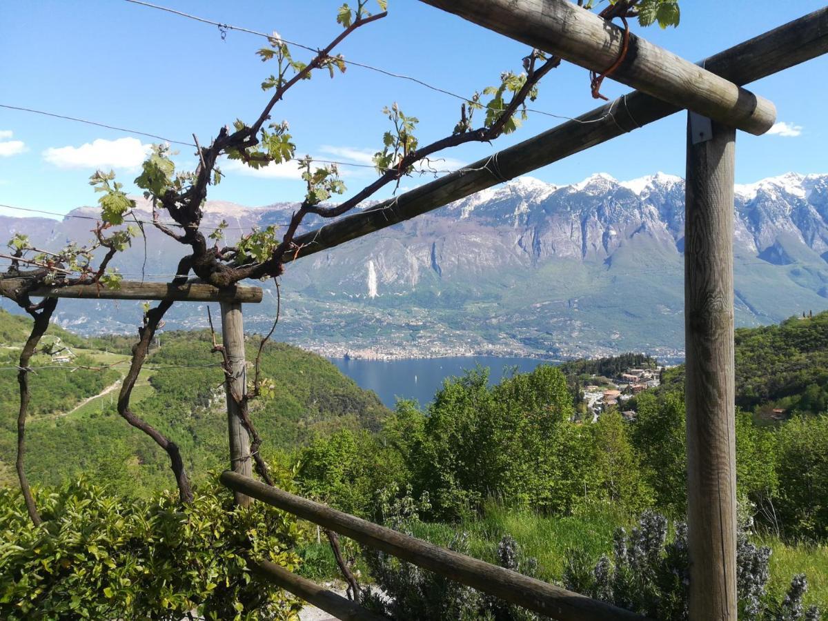 Agriturismo La Zangola Tremosine المظهر الخارجي الصورة
